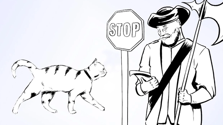 Video Vorschau